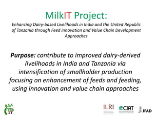 Motivation behind renewed interest in Tanzania dairy