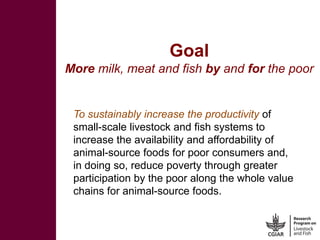 Motivation behind renewed interest in Tanzania dairy