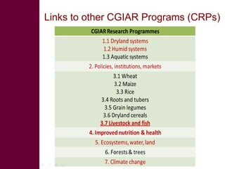 Motivation behind renewed interest in Tanzania dairy