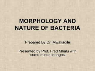 MORPHOLOGY AND NATURE OF BACTERIA Prepared By Dr. Mwakagile Presented by Prof. Fred Mhalu with some minor changes 