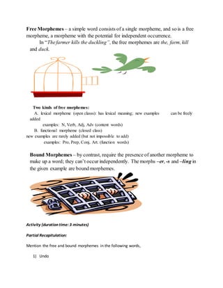 Free Morphemes – a simple word consists of a single morpheme, and so is a free 
morpheme, a morpheme with the potential for independent occurrence. 
In “The farmer kills the duckling”, the free morphemes are the, farm, kill 
and duck. 
Two kinds of free morphemes: 
A. lexical morpheme (open classs): has lexical meaning; new examples can be freely 
added 
examples: N, Verb, Adj, Adv (content words) 
B. functional morpheme (closed class) 
new examples are rarely added (but not impossible to add) 
examples: Pro, Prep, Conj, Art. (function words) 
Bound Morphemes – by contrast, require the presence of another morpheme to 
make up a word; they can’t occur independently. The morphs –er, -s and –ling in 
the given example are bound morphemes. 
Activity (duration time: 3 minutes) 
Partial Recapitulation: 
Mention the free and bound morphemes in the following words, 
1) Undo 
 