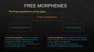 Free morpheme
Lexical morpheme
Lexical morphemes are morphemes that carry the
main messages we convey. These can be ordinary
nouns, verbs, and adjectives.
Ex: Girl, tiger, long, black, look, kill, etc.
The lexical morphemes are of the open class.
Functional morphemes
Functional morphemes : Acts as functional
words in a language. Mostly conjunctions,
prepositions, articles, and pronouns.
Ex: And, when, but, near, in, the, that, it, etc.
It is of closed-class words.
The Free morpheme is of two types.
 