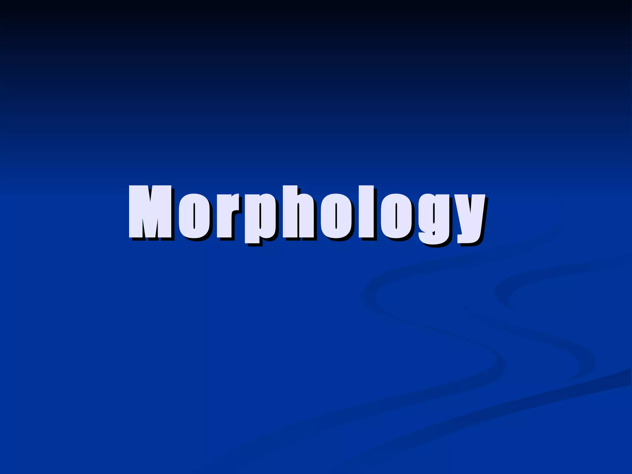 Morphology   