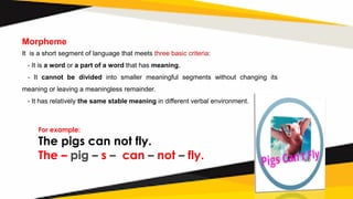 Morphemes    chapter 4