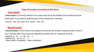 Morphemes    chapter 4
