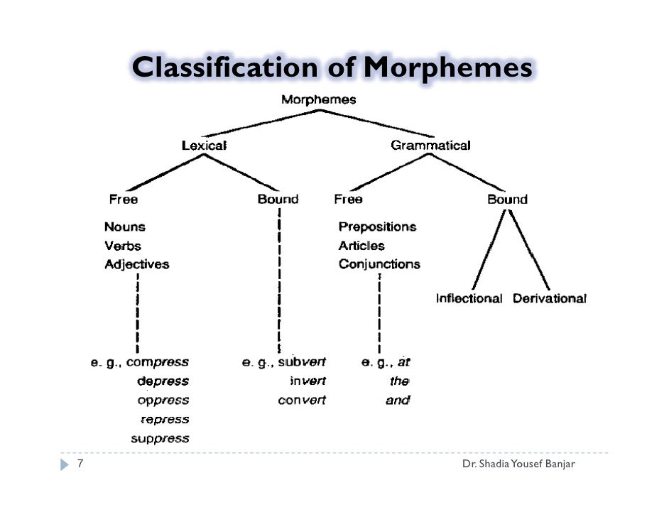 morphemes