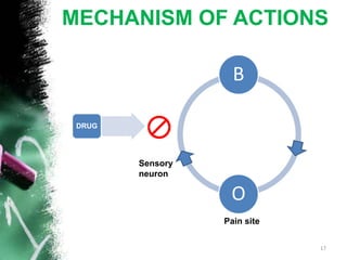MECHANISM OF ACTIONS
B
O
DRUG
Pain site
Sensory
neuron
17
 