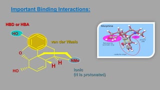 Important Binding Interactions:
HBD or HBA
Ionic
(N is protonated)
van der Waals
NMe
O
HO
HO
H
H
 