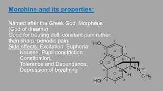 Morphine (1804):
Named after the Greek God, Morpheus (God of dreams)
Good for treating dull, constant pain rather than sharp, periodic pain.
Side effects:
-Excitation, Euphoria
-Nausea, Pupil constriction
-Constipation,
-Tolerance and Dependence,
-Depression of breathing.
 
