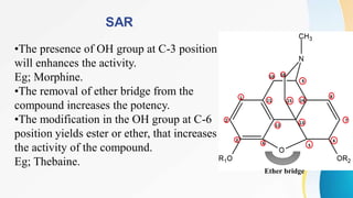 SAR
•The presence of OH group at C-3 position
will enhances the activity.
Eg; Morphine.
•The removal of ether bridge from the
compound increases the potency.
•The modification in the OH group at C-6
position yields ester or ether, that increases
the activity of the compound.
Eg; Thebaine.
Ether bridge
 
