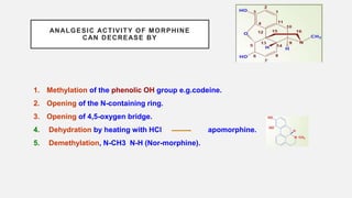 ANALGESIC ACTIVITY OF MORPHINE
CAN DECREASE BY
1. Methylation of the phenolic OH group e.g.codeine.
2. Opening of the N-containing ring.
3. Opening of 4,5-oxygen bridge.
4. Dehydration by heating with HCl apomorphine.
5. Demethylation, N-CH3 N-H (Nor-morphine).
 