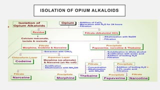 ISOLATION OF OPIUM ALKALOIDS
 