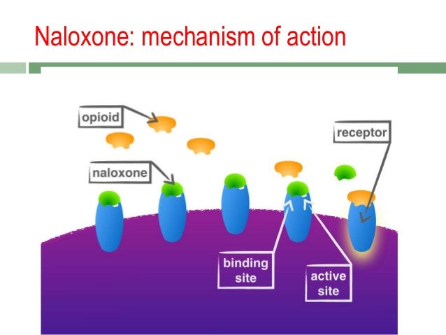 will narcan reverse xanax overdose symptoms will narcan reverse xanax overdose symptoms