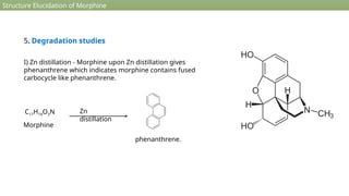 Structure Elucidation of Morphine
5. Degradation studies
I) Zn distillation - Morphine upon Zn distillation gives
phenanthrene which indicates morphine contains fused
carbocycle like phenanthrene.
C17H19O3N Zn
distillation
Morphine
phenanthrene.
 