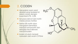 2. CODEIN
 Merupakan asam opiat
alkaloid yang terdapat di
dalam candu dengan
kosentrasi 0,7% - 2,5%
 Senyawa derivat dari morfin
melalui proses metilasi
 Sekitar 5% morfin akan
mengalami demetilasi
menjadi normomorfin dan
sebagian kecil diproses
menjadi kodein
 kodein di ubah menjadi
norkodein oleh enzim CYP3A4
 