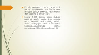  Kodein merupakan prodrug karena di
saluran pencernaan kodein diubah
menjadi bentuk aktifnya, yakni morfin
dan kodeina -6-glukoronida.
 Sekitar 5-10% kodein akan diubah
menjadi morfin, sedangkan sisanya
akan menjadi bentuk yang bebas,
atau terkonjugasi dan membentuk
kodeina-6-glukoronida (70%),
norkodeina (10%), hidromorfona (1%).
 