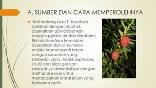 A. SUMBER DAN CARA MEMPEROLEHNYA
 Kulit batang kayu T. brevifolia
diekstrak dengan alcohol,
dipekatkan dan dipisahkan
dengan pelarut air dan kloroform.
Ekstrak kloroform kemudian
dipisahkan dan dimurnikan
melalui kromatografi kolom
dengan adsorben yang
berbeda, yaitu : florisil, sephadex
LH-20 dan silica gel dan
selanjutnya direkristalisasi dengan
methanol encer untuk
mendapatkan Kristal jarum yang
berwarna putih.
 