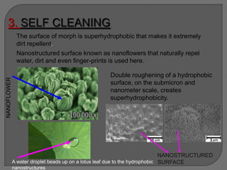 A water droplet beads up on a lotus leaf due to the hydrophobic
nanostructures
Double roughening of a hydrophobic
surface, on the submicron and
nanometer scale, creates
superhydrophobicity.
3. SELF CLEANING
NANOFLOWER
The surface of morph is superhydrophobic that makes it extremely
dirt repellent.
Nanostructured surface known as nanoflowers that naturally repel
water, dirt and even finger-prints is used here.
NANOSTRUCTURED
SURFACE
 