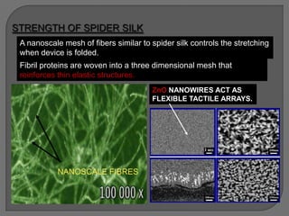 ZnO NANOWIRES ACT AS
FLEXIBLE TACTILE ARRAYS.
A nanoscale mesh of fibers similar to spider silk controls the stretching
when device is folded.
Fibril proteins are woven into a three dimensional mesh that
reinforces thin elastic structures.
NANOSCALE FIBRES
STRENGTH OF SPIDER SILK
 