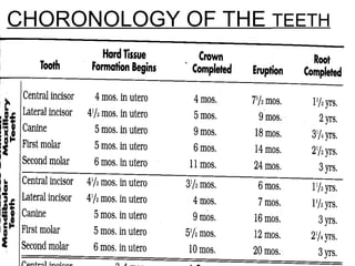 12/27/1771
CHORONOLOGY OF THE TEETH
 