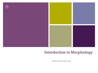 +

Introduction to Morphology
Roland Raoul Kouassi

 