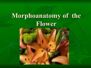 Morphoanatomy of  the Flower 