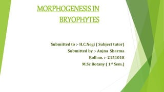 MORPHOGENESIS IN
BRYOPHYTES
Submitted to :- H.C.Negi ( Subject tutor)
Submitted by :- Anjna Sharma
Roll no. :- 2151018
M.Sc Botany ( 1st Sem.)
 
