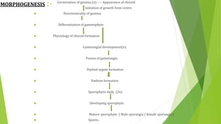 MORPHOGENESIS :- Germination of gemma (n) ---- Appearance of rhizoid
Initiation of growth from centre
 Dorsiventrality of gemma
 Differentiation of gametophyte
 Physiology of rhizoid formation
 Gametangial development(n)
 Fusion of gametangia
 Diploid zygote formation
 Embryo formation
 Sporophytic body (2n)
 Developing sporophyte
 Mature sporophyte ( Male sporangia / female sporangia )
 Spores.
 