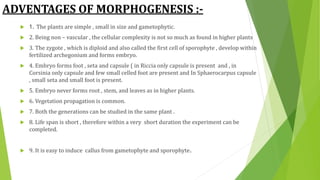 ADVENTAGES OF MORPHOGENESIS :-
 1. The plants are simple , small in size and gametophytic.
 2. Being non – vascular , the cellular complexity is not so much as found in higher plants
 3. The zygote , which is diploid and also called the first cell of sporophyte , develop within
fertilized archegonium and forms embryo.
 4. Embryo forms foot , seta and capsule ( in Riccia only capsule is present and , in
Corsinia only capsule and few small celled foot are present and In Sphaerocarpus capsule
, small seta and small foot is present.
 5. Embryo never forms root , stem, and leaves as in higher plants.
 6. Vegetation propagation is common.
 7. Both the generations can be studied in the same plant .
 8. Life span is short , therefore within a very short duration the experiment can be
completed.
 9. It is easy to induce callus from gametophyte and sporophyte.
 