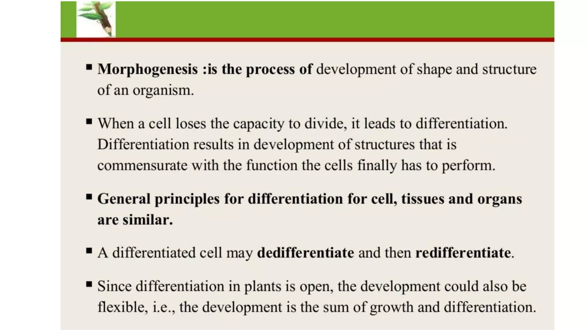 Morphogenesis, organogenesis, embryogenesis & other techniques | PPTX