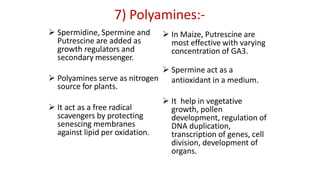 Polyamines And Transcriptoin Morphogenesis, organogenesis, embryogenesis & other techniques | PPTX