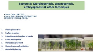 1. Media preparation
2. Explant selection
3. Establishment of explant in media
4. Callus development
5. Plantlet development
6. Hardening or acclimatization
7. Open field planting
Lecture 8: Morphogenesis, organogenesis,
embryogenesis & other techniques
Course Code : HRT 552
Course Title : BIOTECHNOLOGY OF
HORTICULTURAL CROPs
 