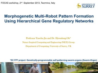 FOCAS workshop, 2nd September 2013, Taormina, Italy

Morphogenetic Multi-Robot Pattern Formation
Using Hierarchical Gene Regulatory Networks

Professor Yaochu Jin and Dr. Hyondong Oh*
Nature Inspired Computing and Engineering (NICE) Group
Department of Computing, University of Surrey, UK

*EC FP7 project: Genetically-programmable self-patterning swarm-organs (Swarm-Organ)

 