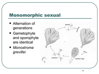 Morphogenetic Observations on Monostroma | PPT