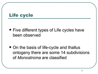 Morphogenetic Observations on Monostroma | PPT