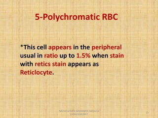 Polychromic Rbc Morphological abnormality of red blood cell | PDF