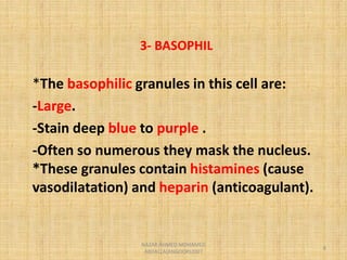 Morphological abnormality of white blood cell | PDF