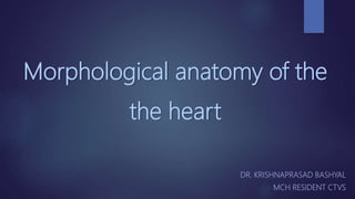 Morphological anatomy of the
the heart
DR. KRISHNAPRASAD BASHYAL
MCH RESIDENT CTVS
 