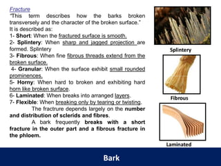 Splintery Fractures Example Morphological and histological characteristics of crude drugs | PDF