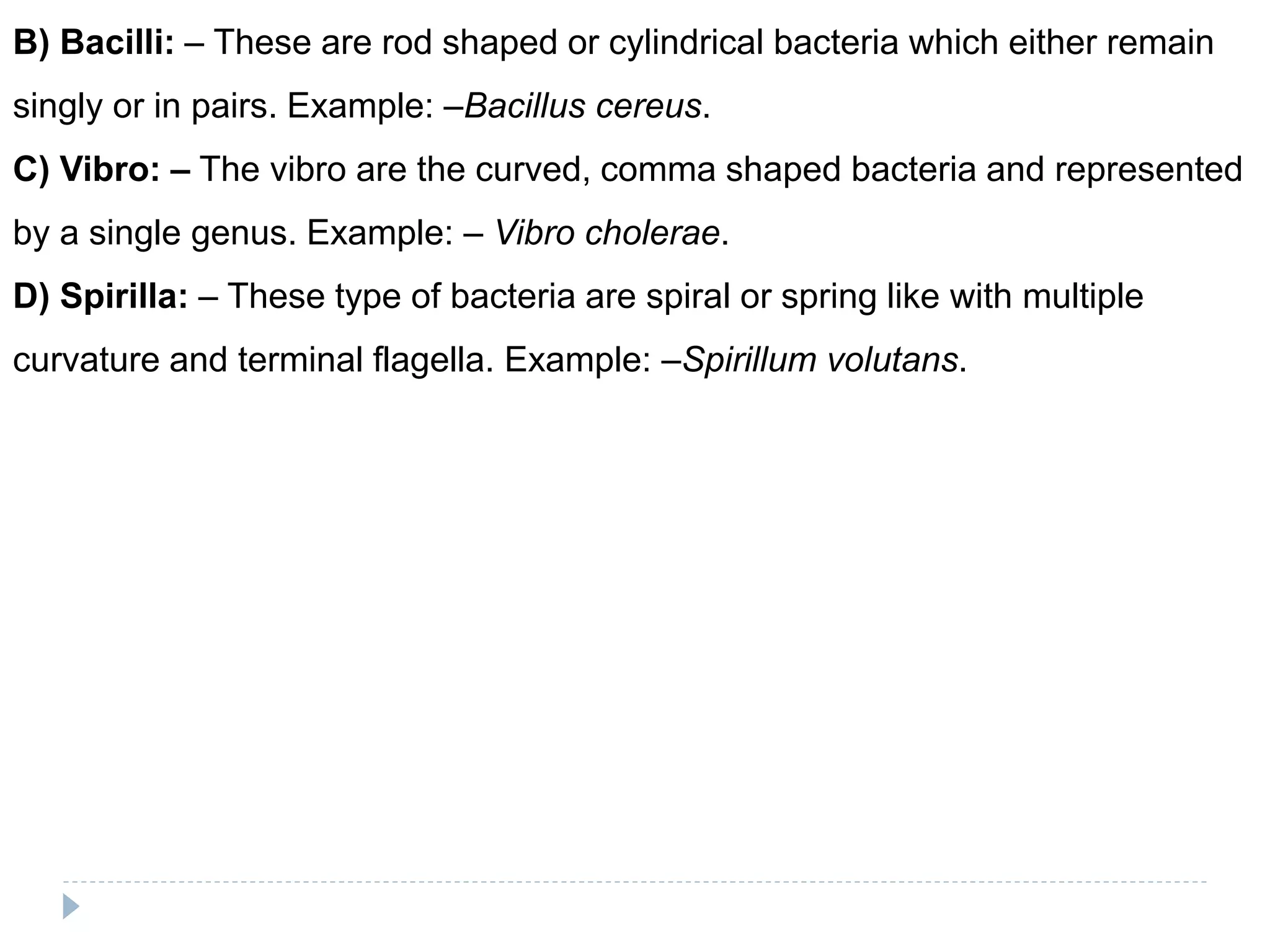 Morphological Classification Of Bacteria
