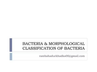 BACTERIA & MORPHOLOGICAL
CLASSIFICATION OF BACTERIA
rambahadurkhadka00@gmail.com
 