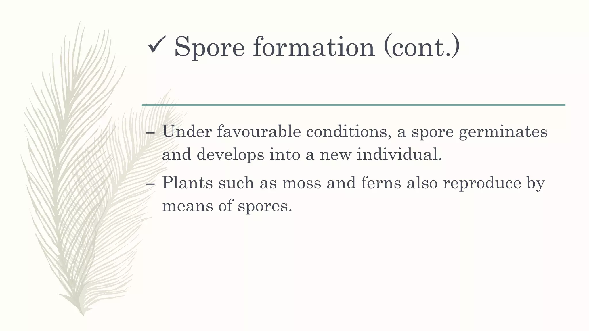  Spore formation (cont.)
– Under favourable conditions, a spore germinates
and develops into a new individual.
– Plants such as moss and ferns also reproduce by
means of spores.
 