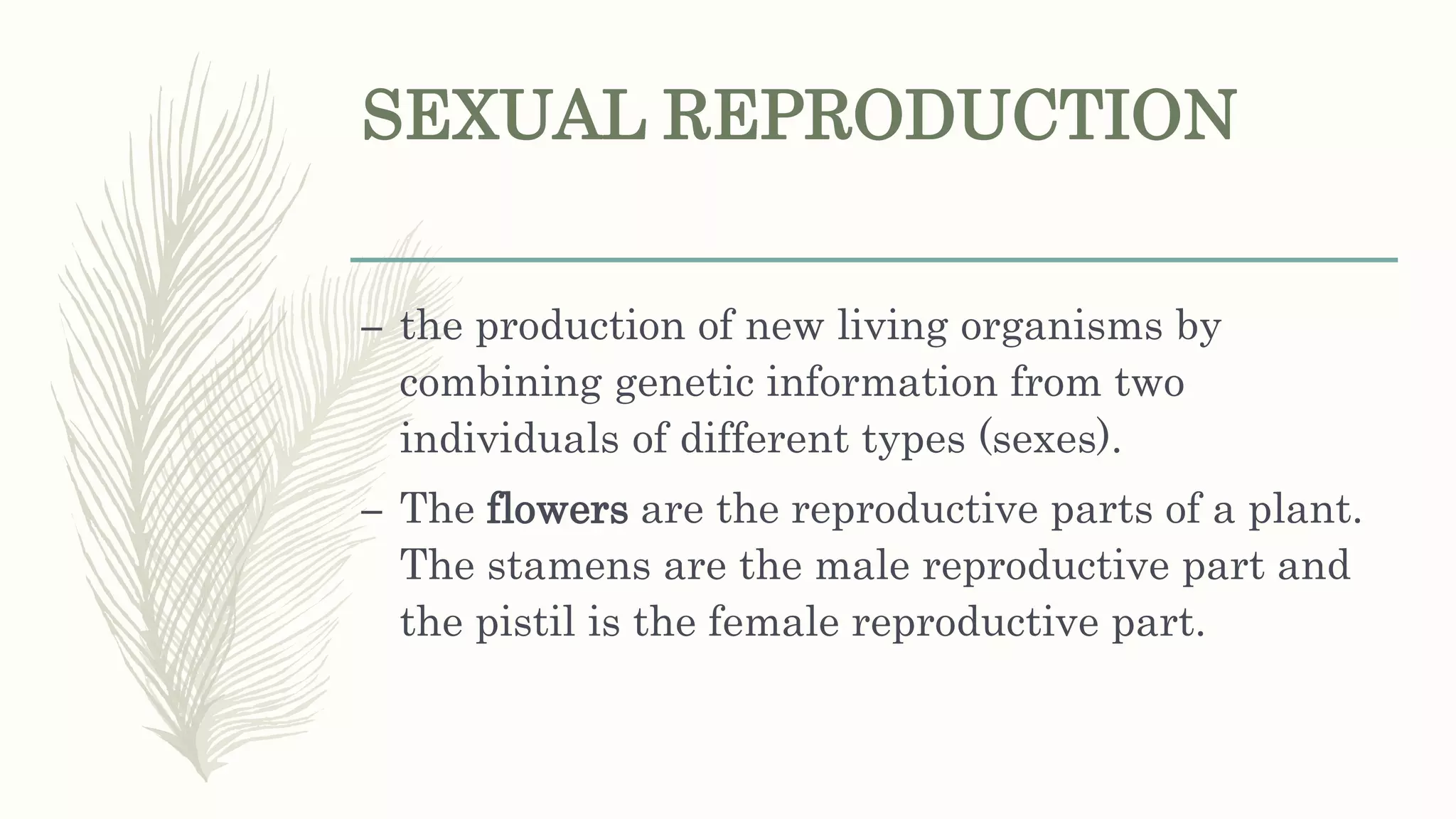 SEXUAL REPRODUCTION
– the production of new living organisms by
combining genetic information from two
individuals of different types (sexes).
– The flowers are the reproductive parts of a plant.
The stamens are the male reproductive part and
the pistil is the female reproductive part.
 