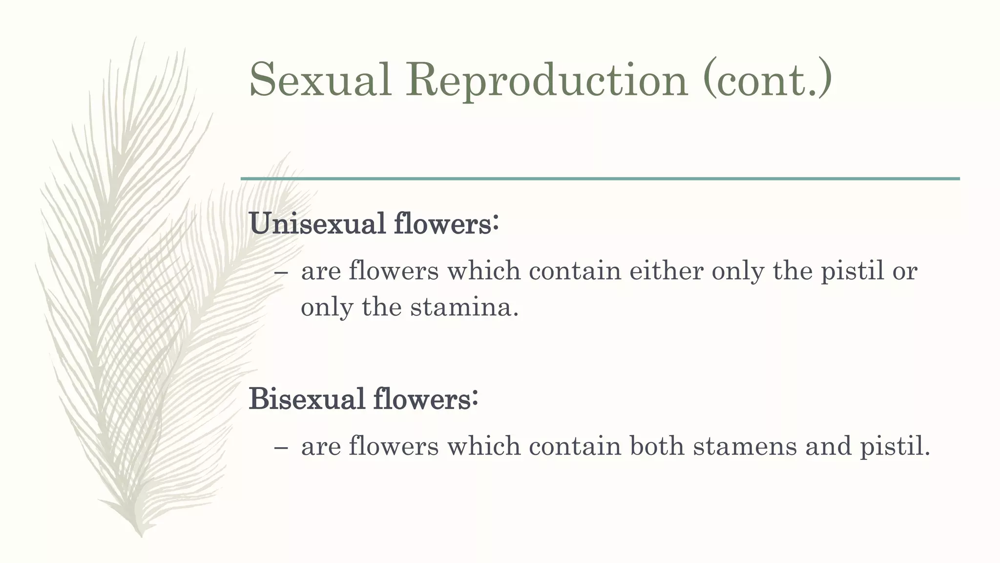 Sexual Reproduction (cont.)
Unisexual flowers:
– are flowers which contain either only the pistil or
only the stamina.
Bisexual flowers:
– are flowers which contain both stamens and pistil.
 