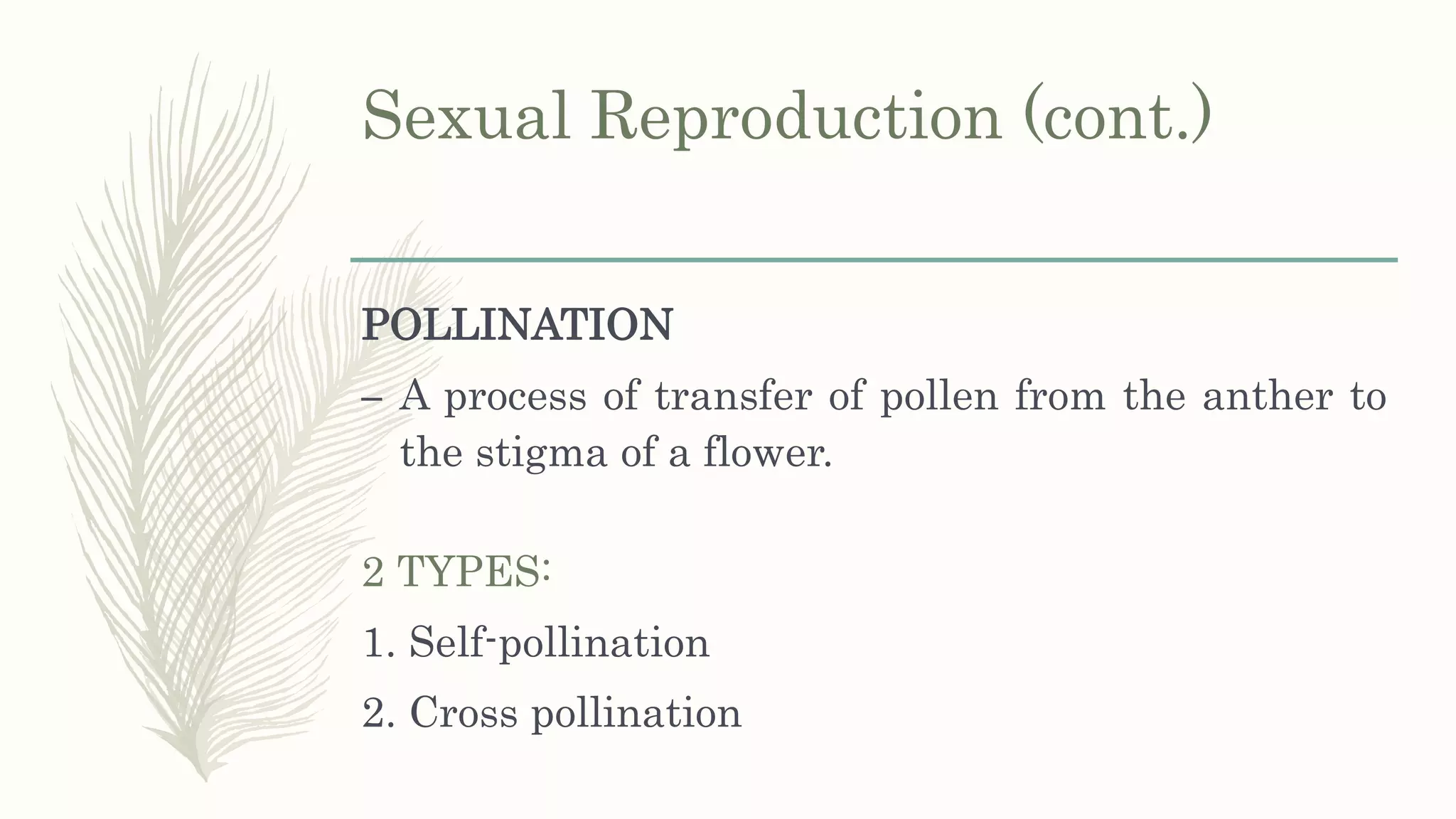Sexual Reproduction (cont.)
POLLINATION
– A process of transfer of pollen from the anther to
the stigma of a flower.
2 TYPES:
1. Self-pollination
2. Cross pollination
 