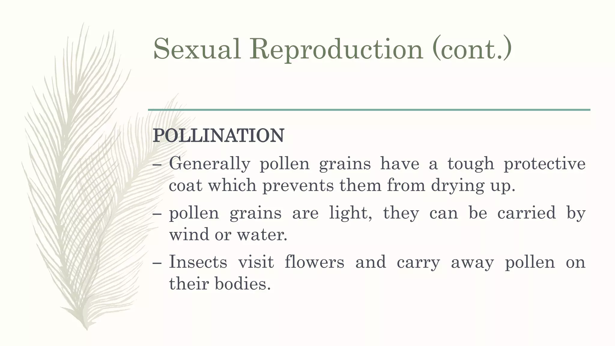 Sexual Reproduction (cont.)
POLLINATION
– Generally pollen grains have a tough protective
coat which prevents them from drying up.
– pollen grains are light, they can be carried by
wind or water.
– Insects visit flowers and carry away pollen on
their bodies.
 