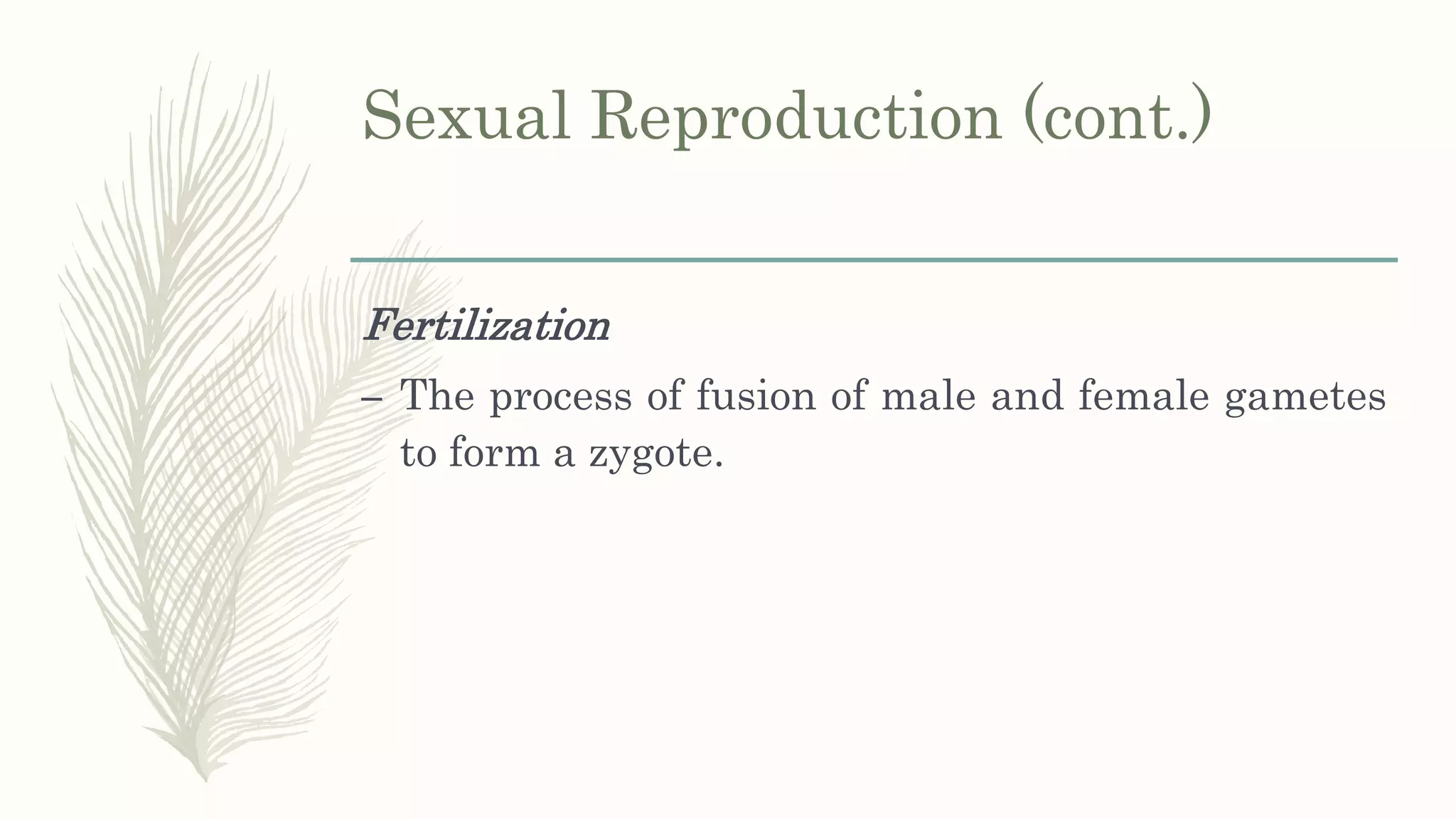 Sexual Reproduction (cont.)
Fertilization
– The process of fusion of male and female gametes
to form a zygote.
 