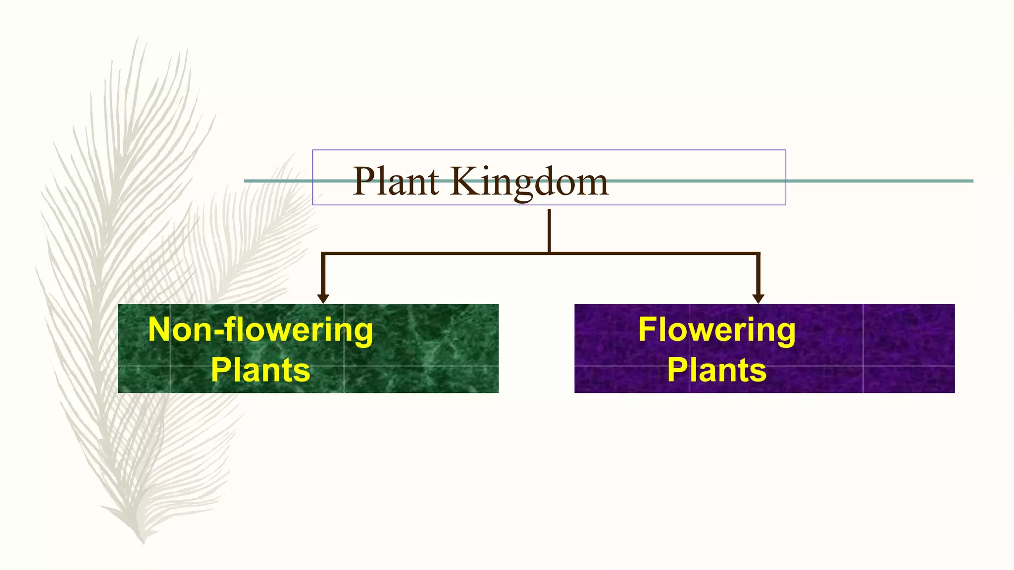 Plant Kingdom
Flowering
Plants
Non-flowering
Plants
 