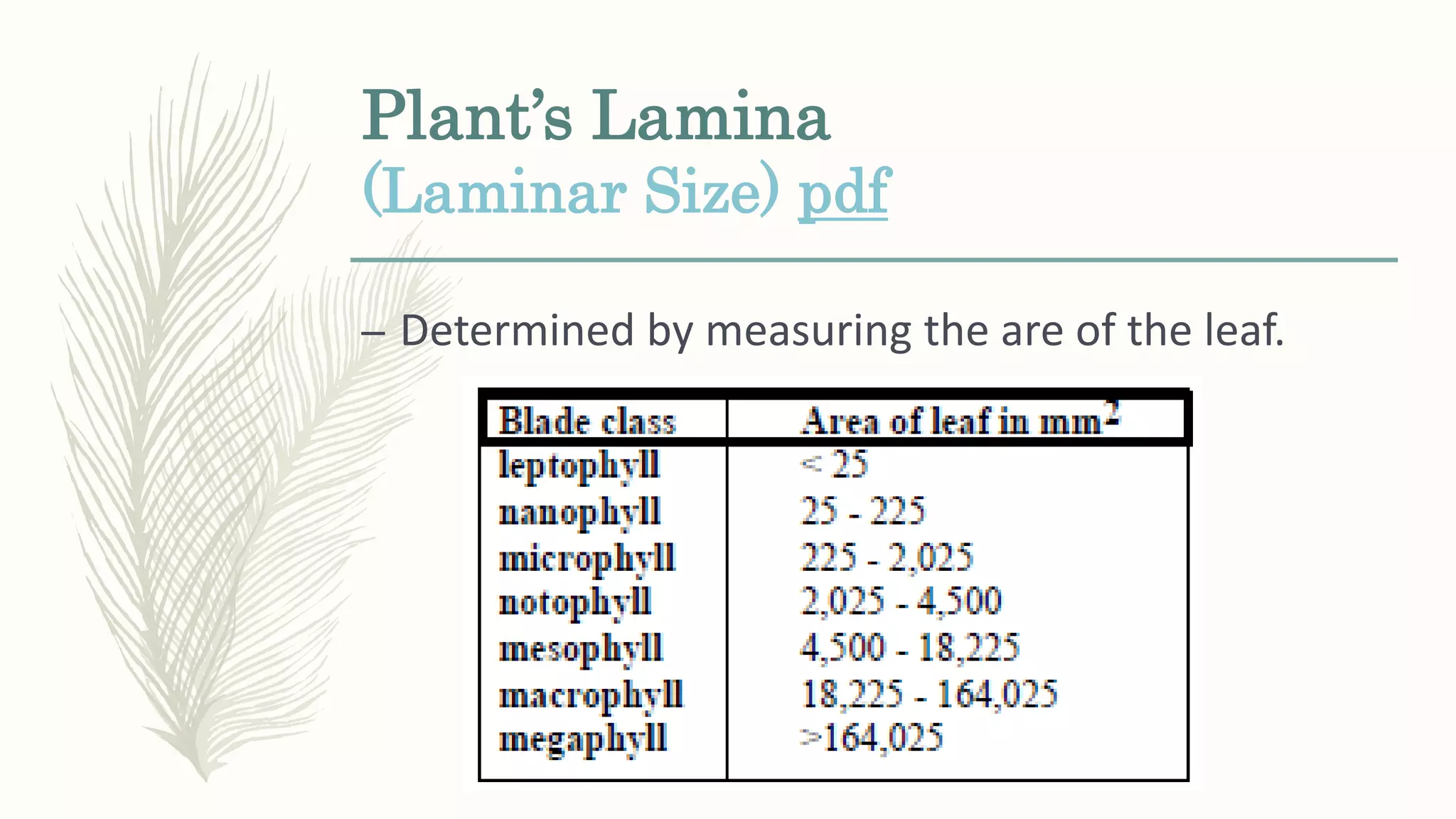 Plant’s Lamina
(Laminar Size) pdf
– Determined by measuring the are of the leaf.
 