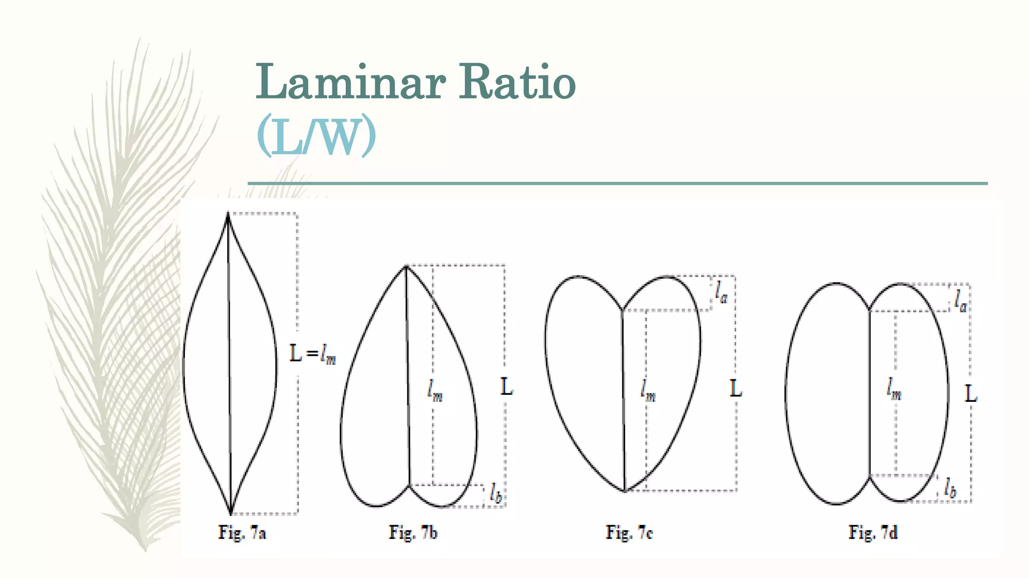 Laminar Ratio
(L/W)
 